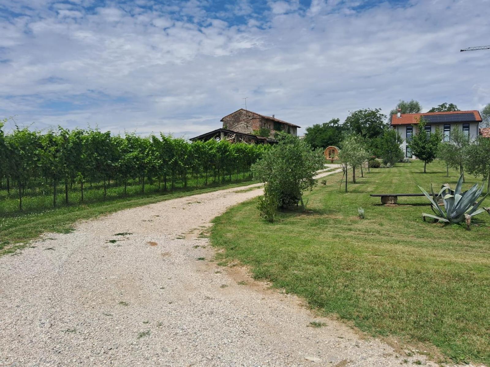 Casa Zafferano - Apartment With Garden Corno di Rosazzo エクステリア 写真